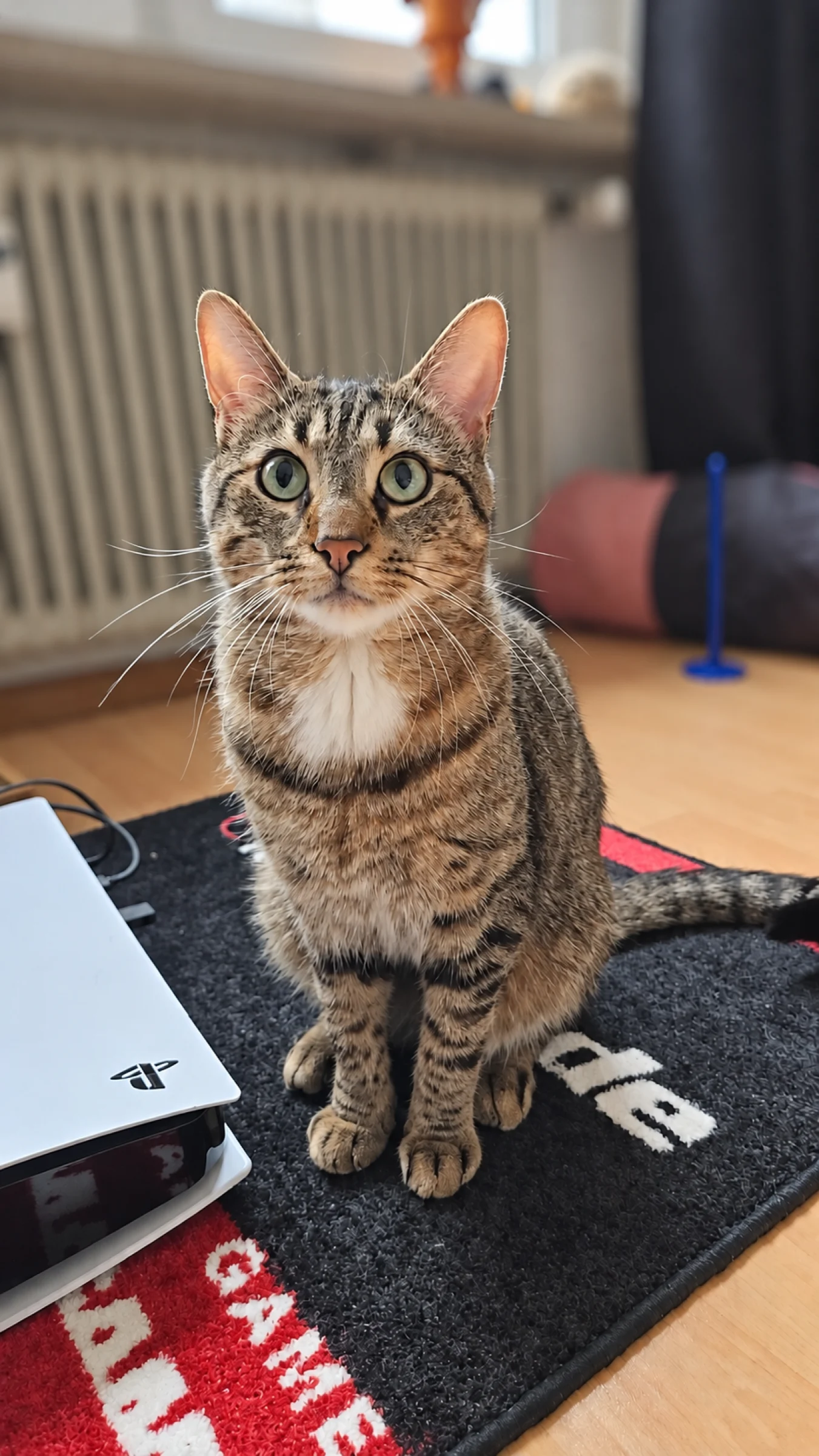 Porträt von Samuel